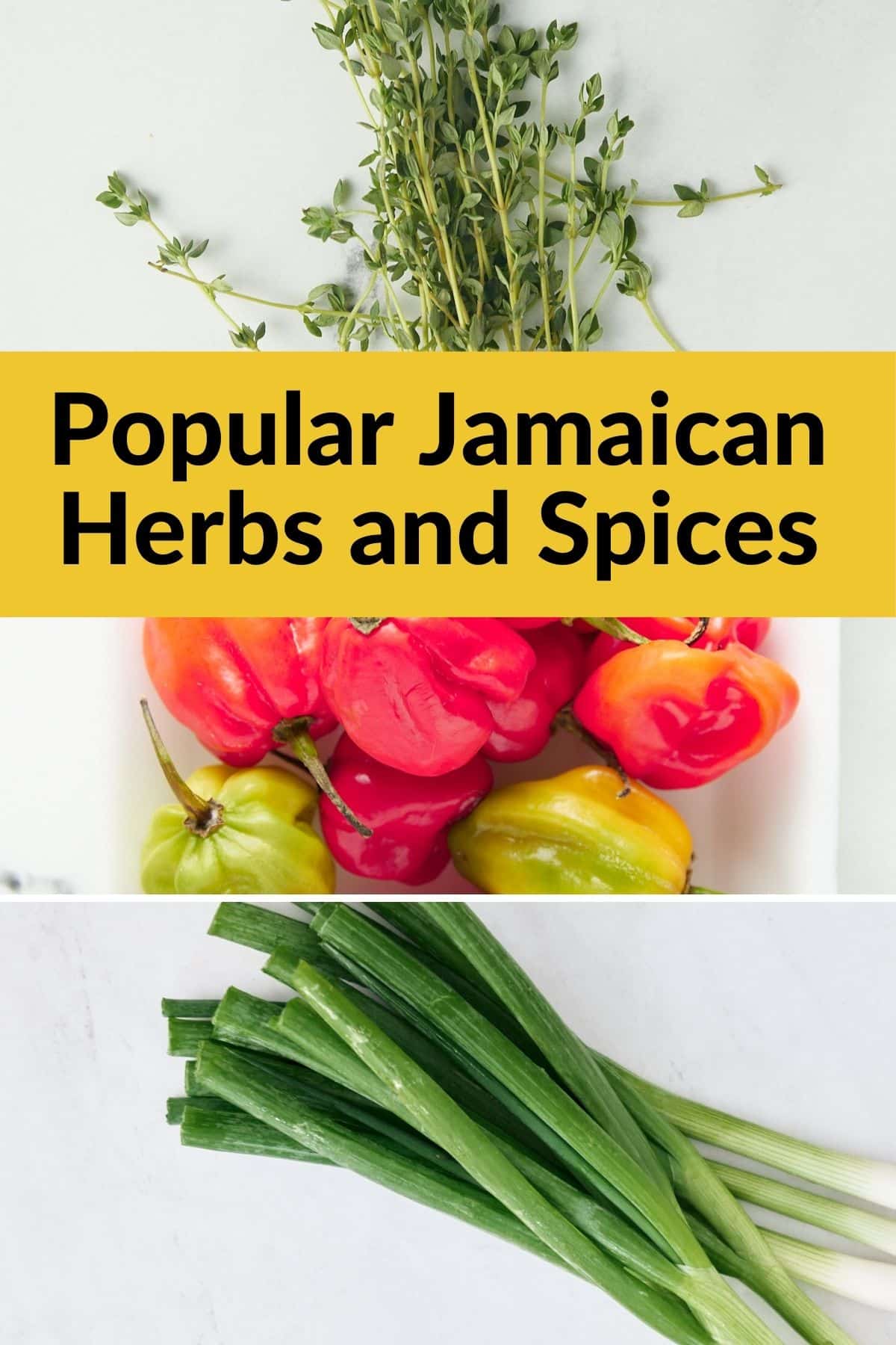 Top Caribbean Herbs: Key Ingredients for Authentic Flavor