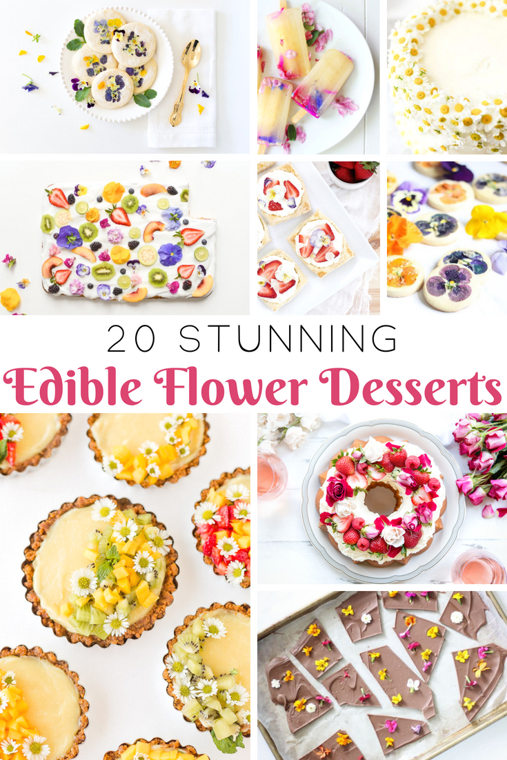 Stunning Desserts with Edible Flowers: Beautiful and Delicious Ideas