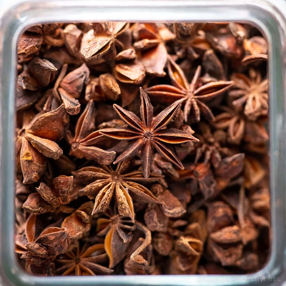 Fragrant Star Found in the Kitchen: Elevate Your Dishes with This Spice