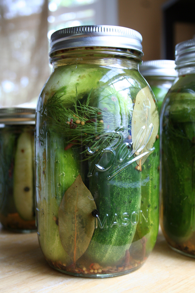 Easy Fermentation Recipes: Make Delicious Pickles, Yogurt, and More at Home