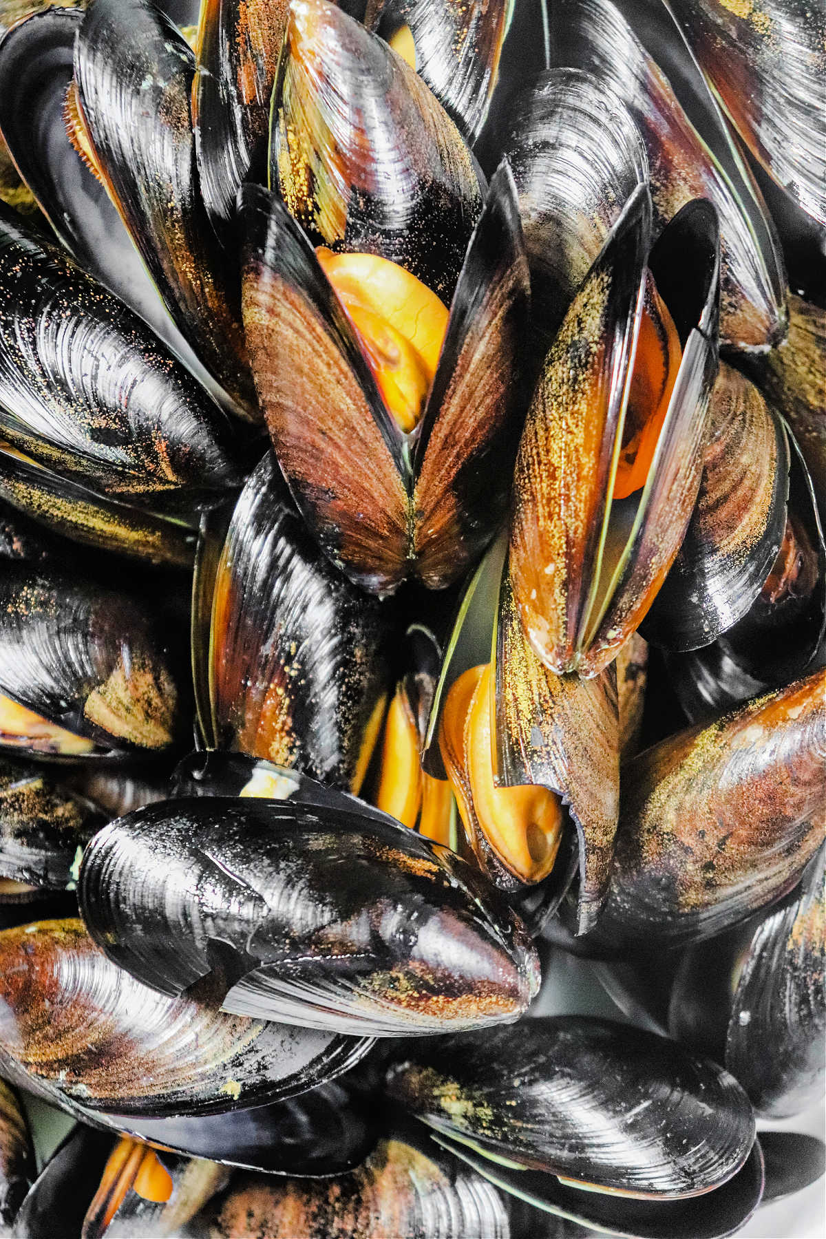 5 Best Frozen Mussels Recipes You Need to Try