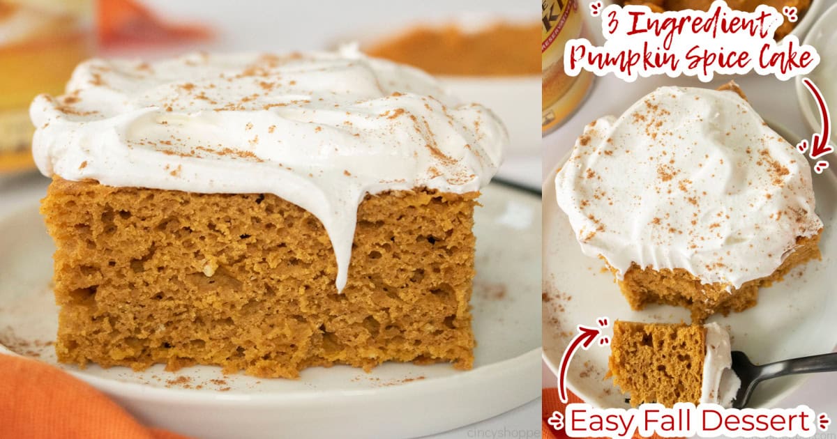 Easy Pumpkin Spice Cake with 3 Simple Ingredients