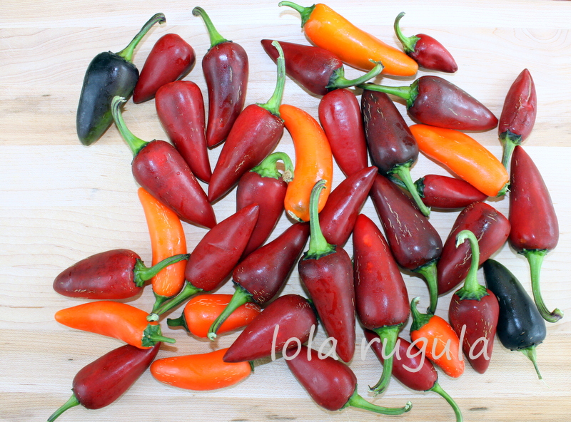 Delicious Hot Hungarian Pepper Recipes for Spicy Lovers