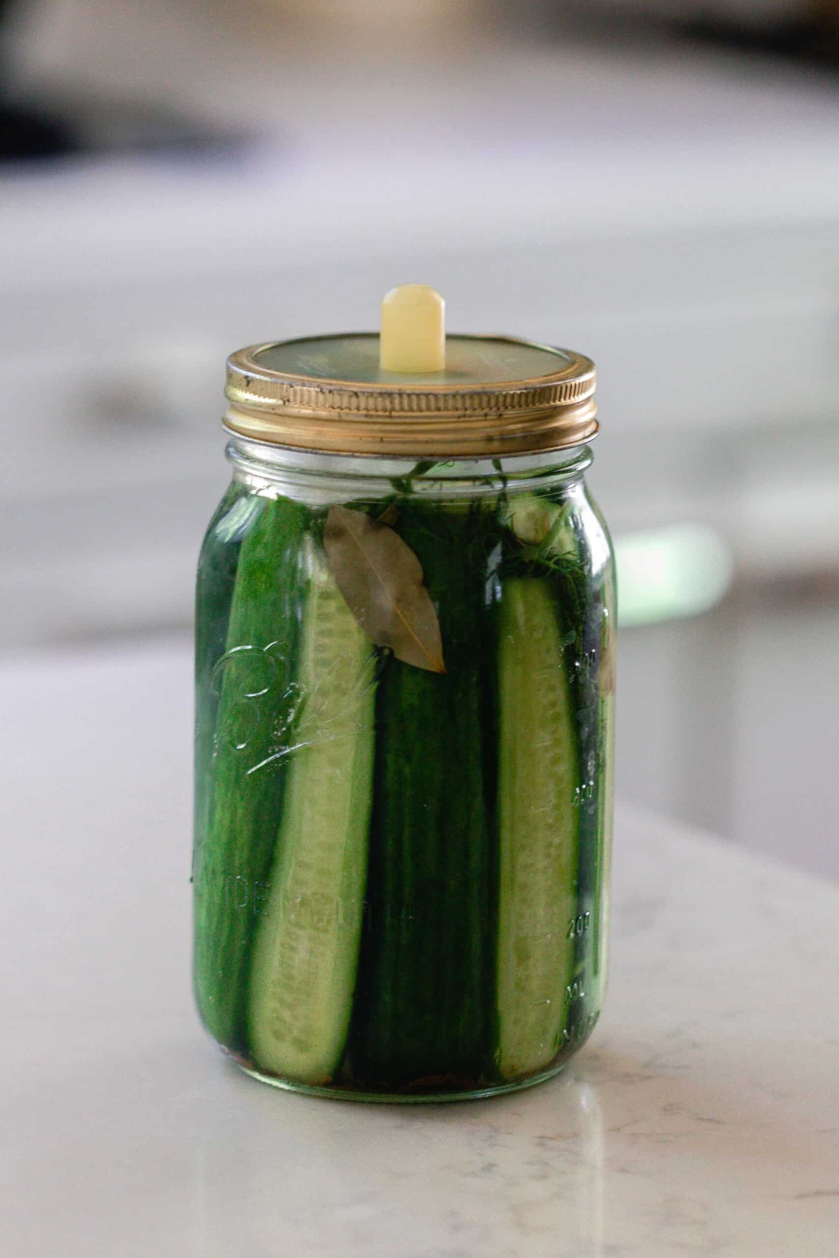 Easy Fermentation Recipes: Make Delicious Pickles, Yogurt, and More at Home