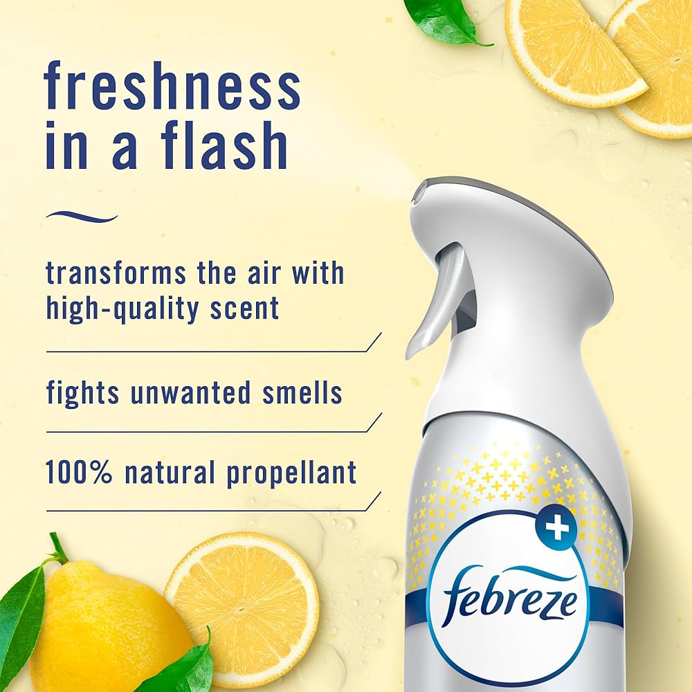 Best Kitchen Air Fresheners to Eliminate Odors and Freshen Your Space