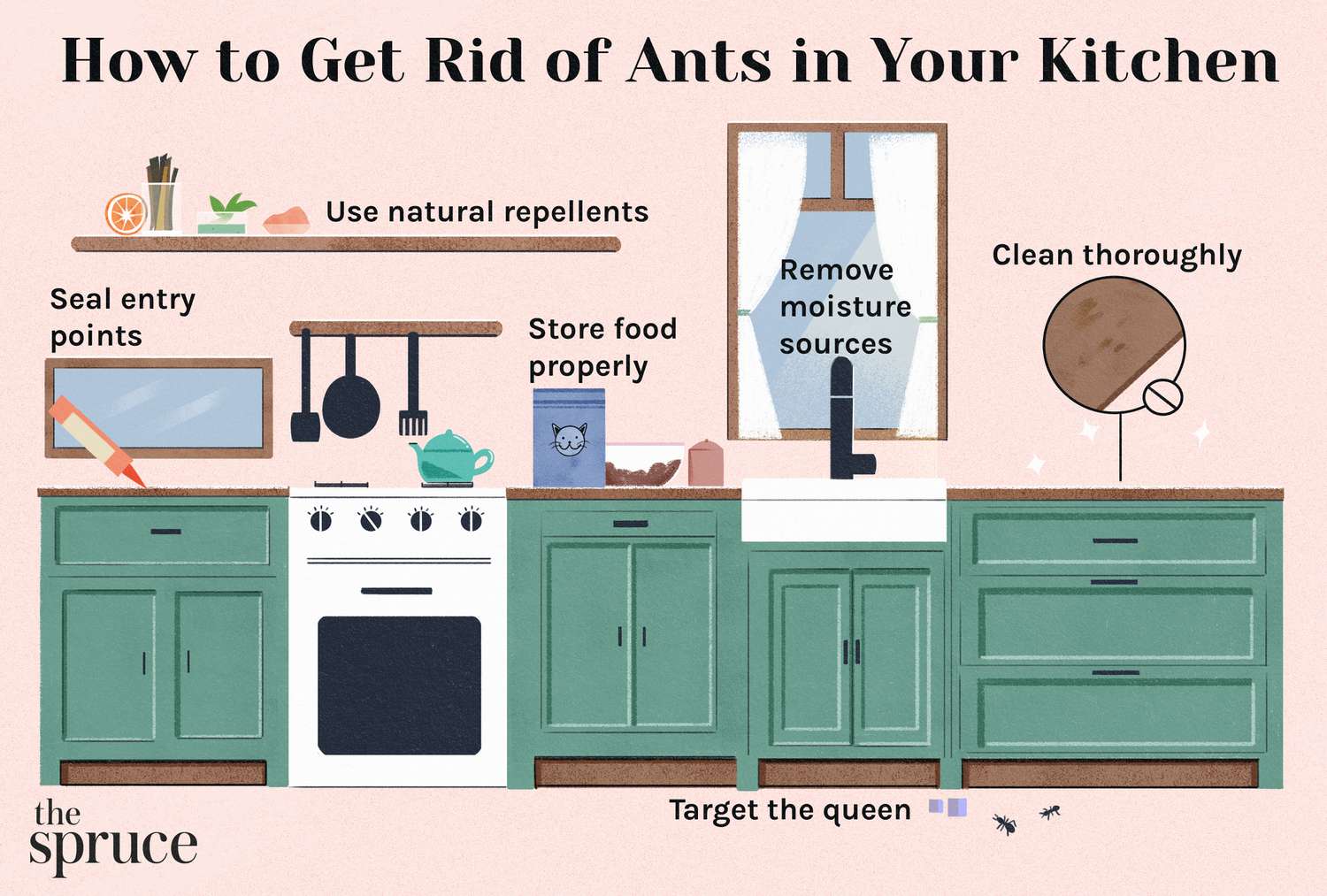 Little Kitchen Ants: Simple Steps to Eliminate Them for Good