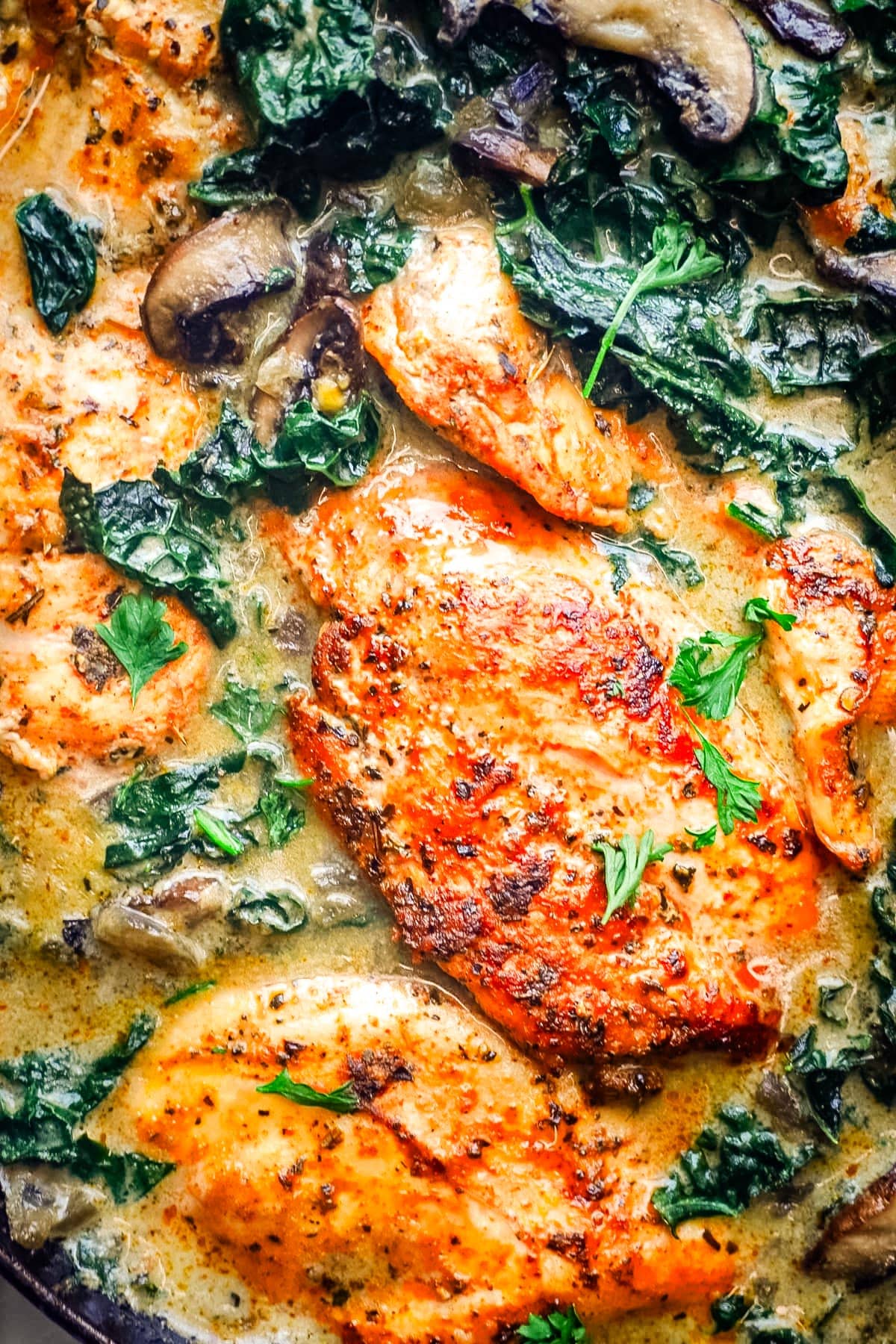 Top Chicken Kale Recipes for a Nutritious and Satisfying Meal