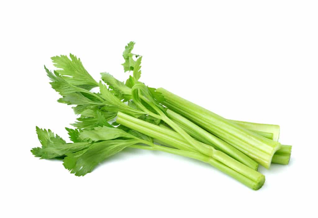 Celery Hearts vs. Stalks: What's Best for Your Cajun Dishes?