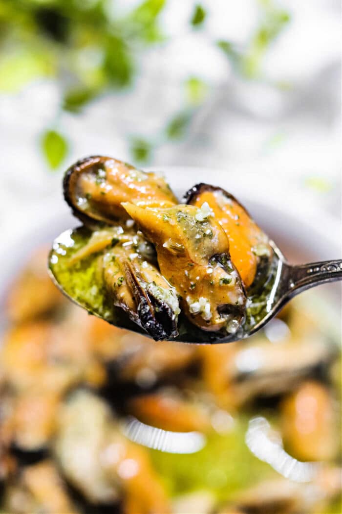 5 Best Frozen Mussels Recipes You Need to Try