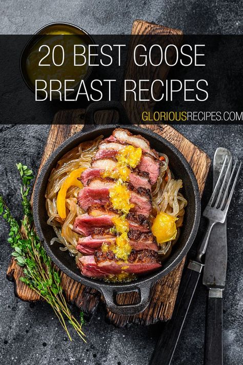 Delicious & Simple Wild Goose Recipes Slow Cooker Ideas