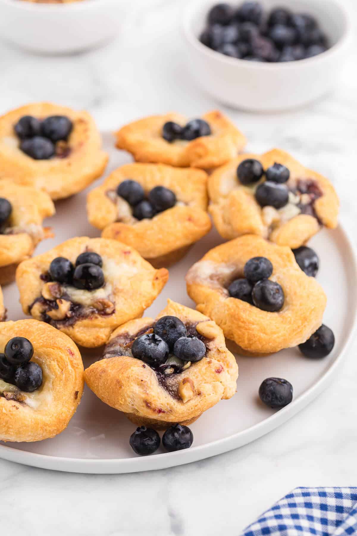 Easy Savoury Blueberry Recipes for Dinner or Appetizers