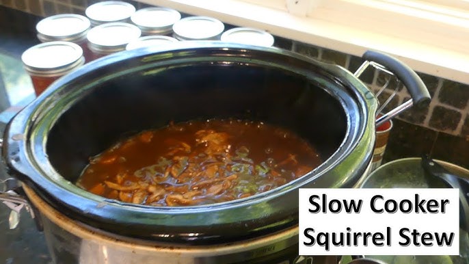 Yummy Slow Cooker Squirrel Recipes How to Cook Squirrel in a Crock Pot