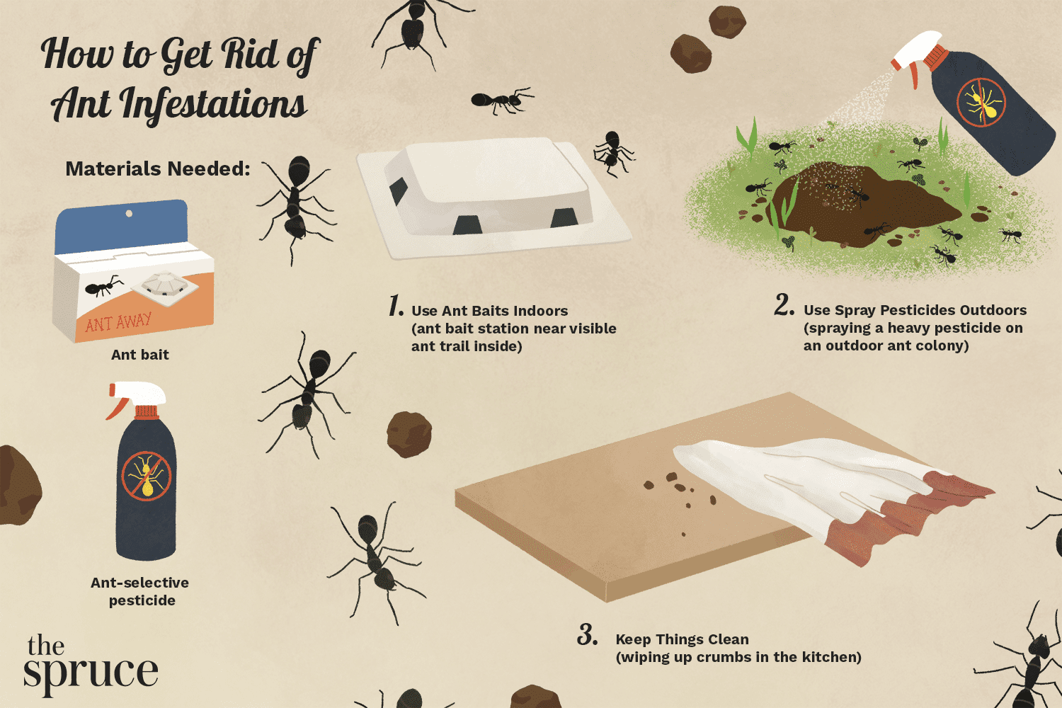 Annoying Ants in Kitchen? Find Out How to Keep Them Away
