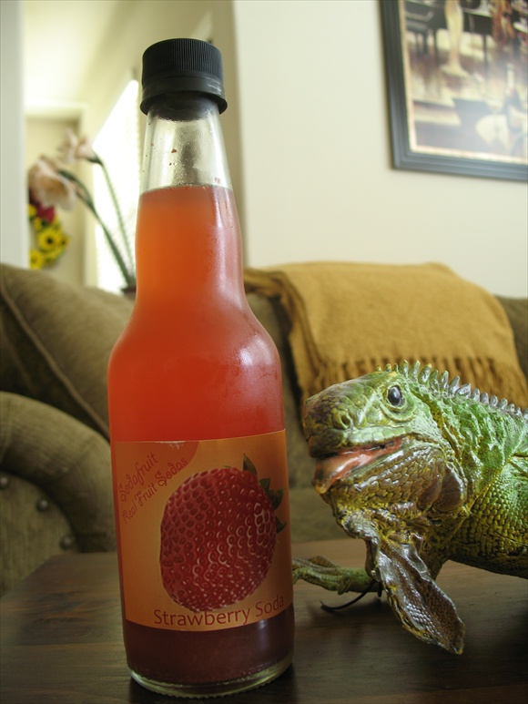 Thirsty? Find your perfect beverage brand with a lizard logo and quench your thirst!