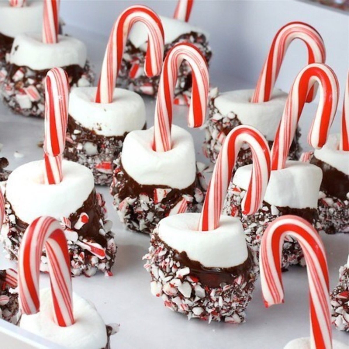 Candy Cane Desserts: Quick and Delicious Holiday Recipes