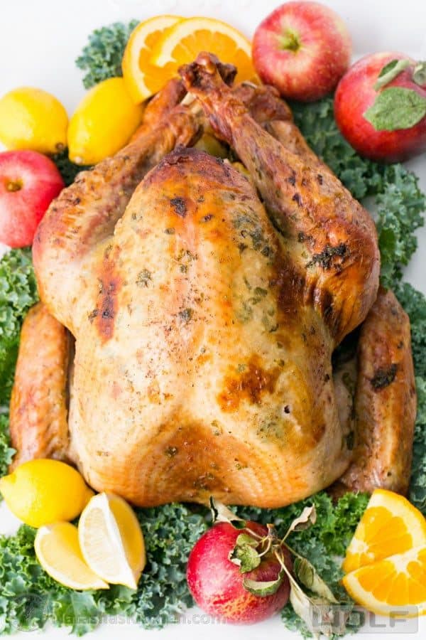 How to cook turkey tips in the oven like a pro: Secrets to a golden-brown masterpiece.