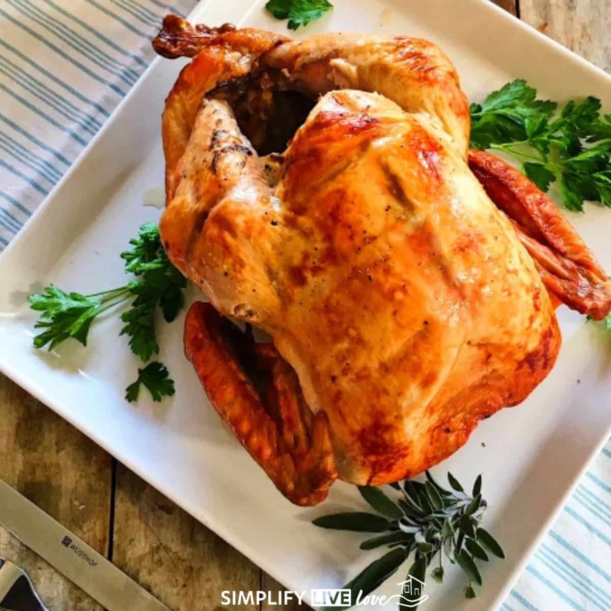 How do you cook turkey tips that everyone will love (get ready for compliments)