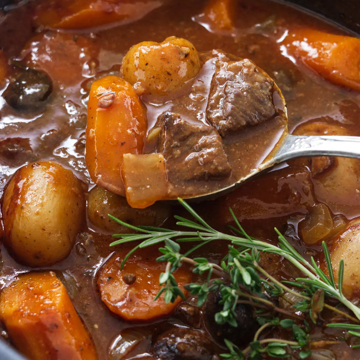 Quick and Tasty Crock Pot Elk Recipes for Busy Weeknights