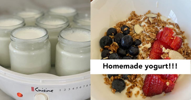 Euro Cuisine Yogurt Maker Recipes: Easy and Delicious Ideas