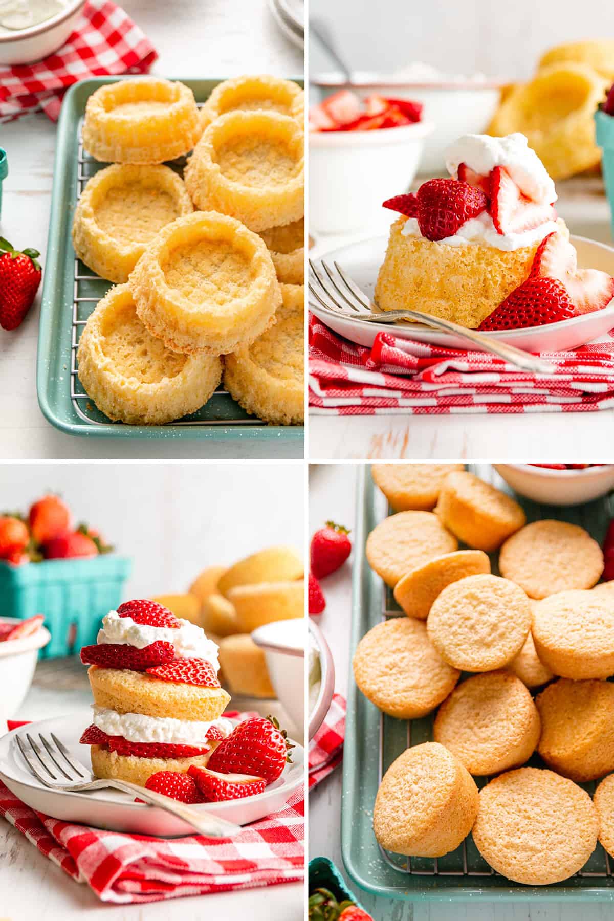 Quick & Easy Dessert Shells Recipes You Can Try Today