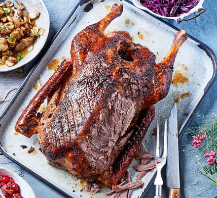 Delicious Wild Goose Recipes Slow Cooker Edition