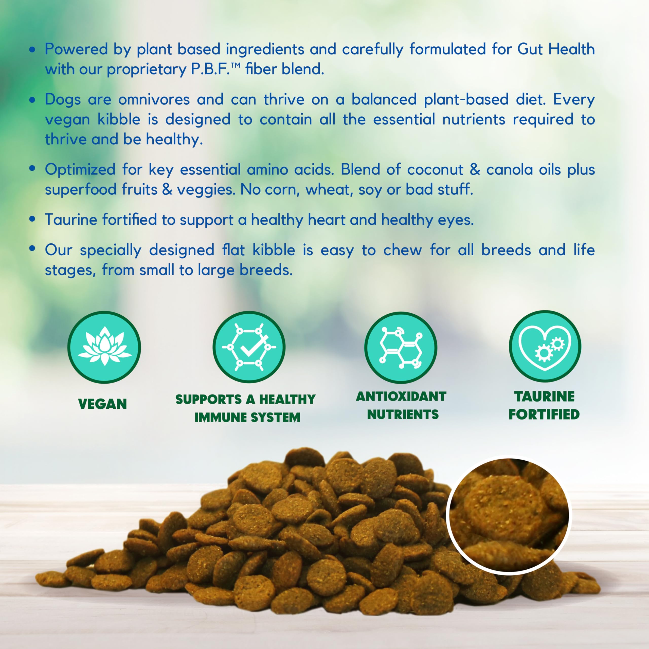 Top Questions About Lucy Vegetarian Dog Food Ingredients