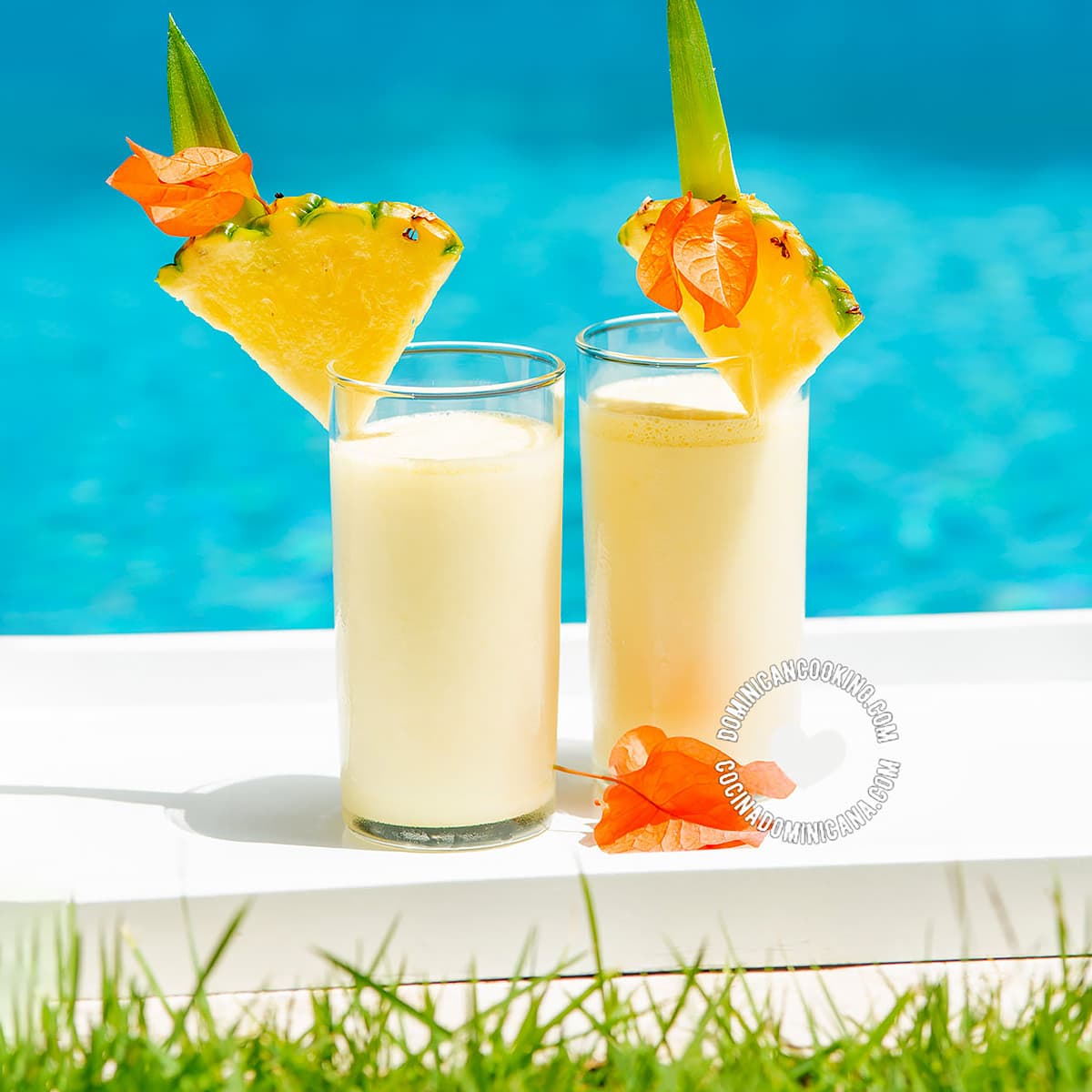 Discover the Top Dominican Beverages for Your Vacation
