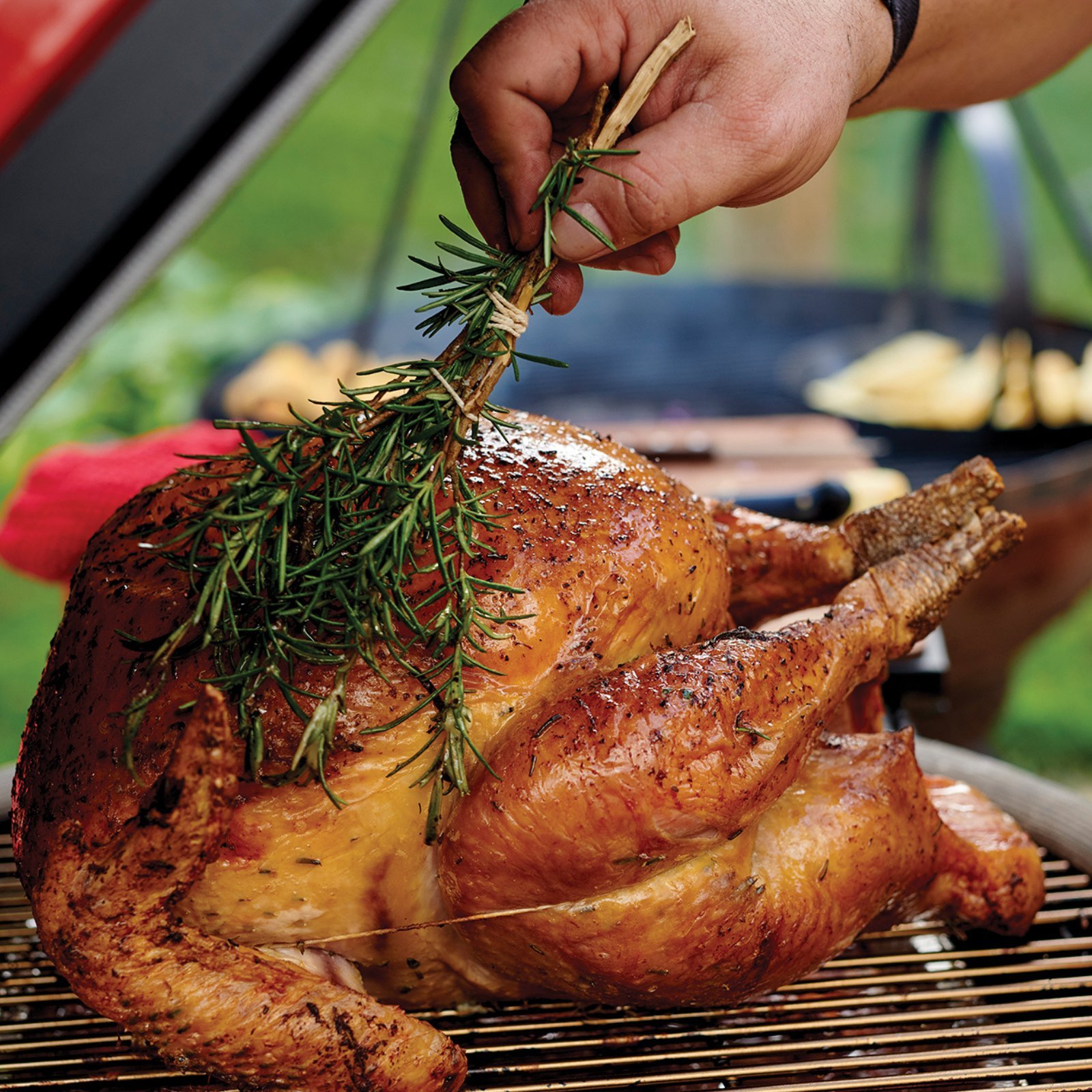 BBQ Turkey Tips: Easy Tricks for a Delicious Bird!