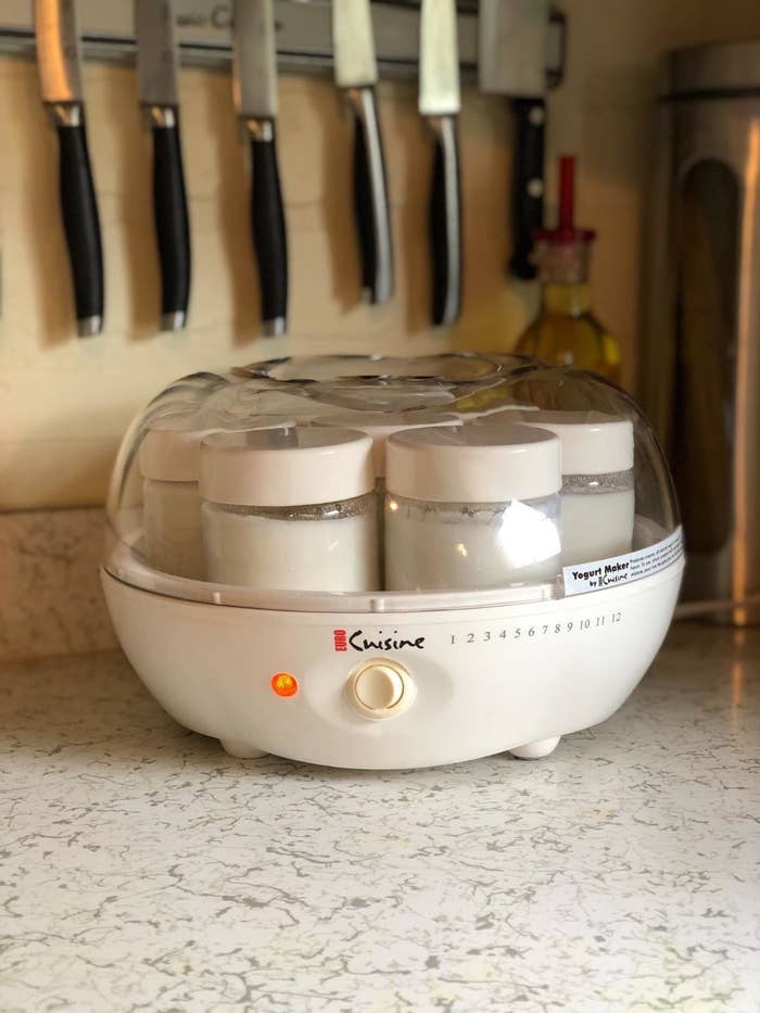 Euro Cuisine Yogurt Maker Recipes: Easy and Delicious Ideas
