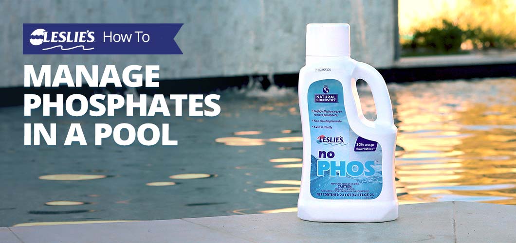 Dive In: Learn About Phosfrees Powerful Active Ingredient