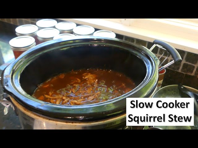 Easy Squirrel Crockpot Recipes You Gotta Try Tonight
