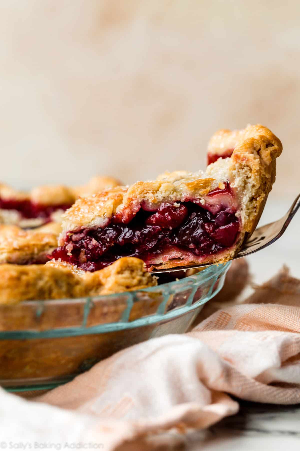 Homemade Dried Cherry Pie Recipes - From Scratch Baking Tips
