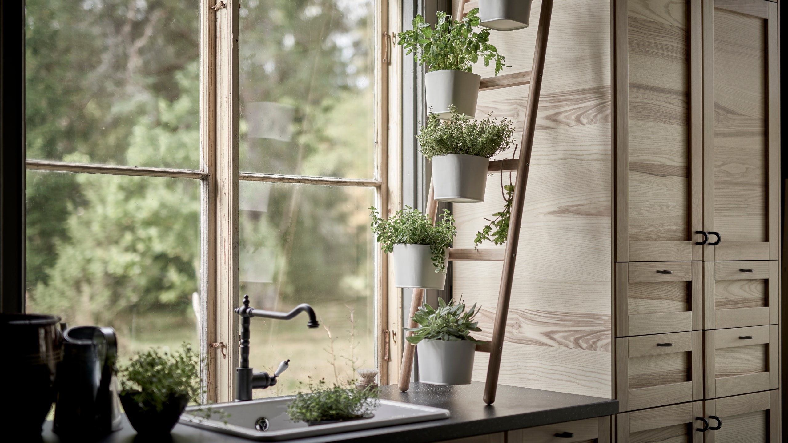 Hanging Herbs Kitchen: Clever Storage and Growing Tips
