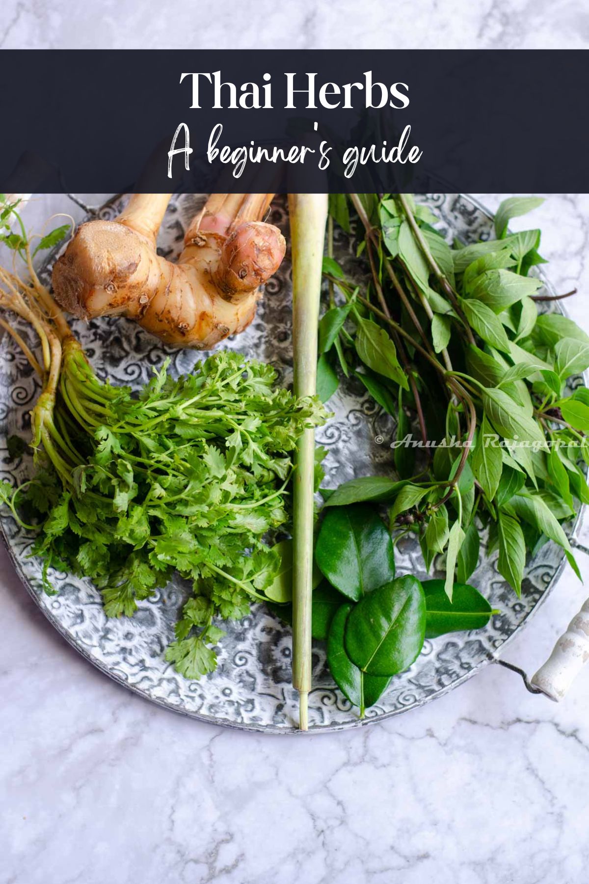 Unlocking Thai Cuisine Herb: Simple Guide for Beginners