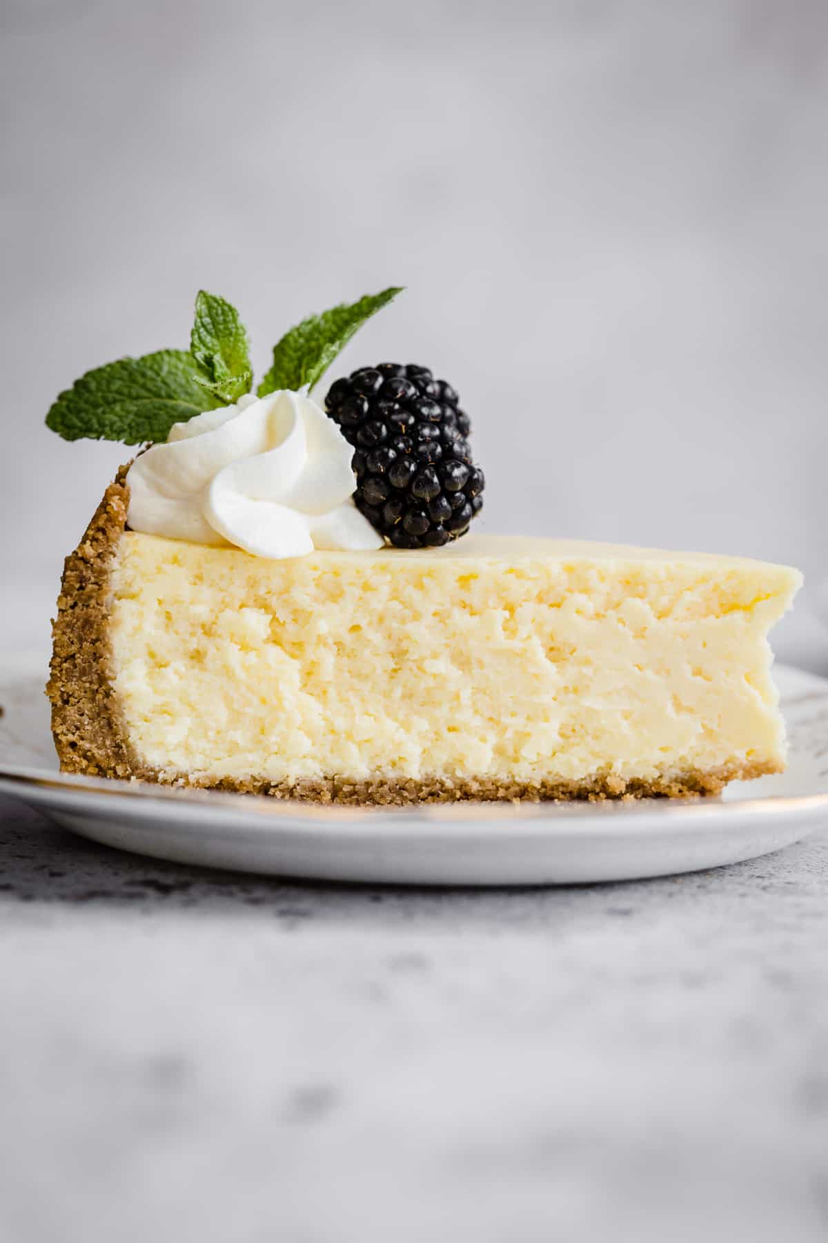 Make Cheddar Cheese Desserts: Delicious treats at Home!