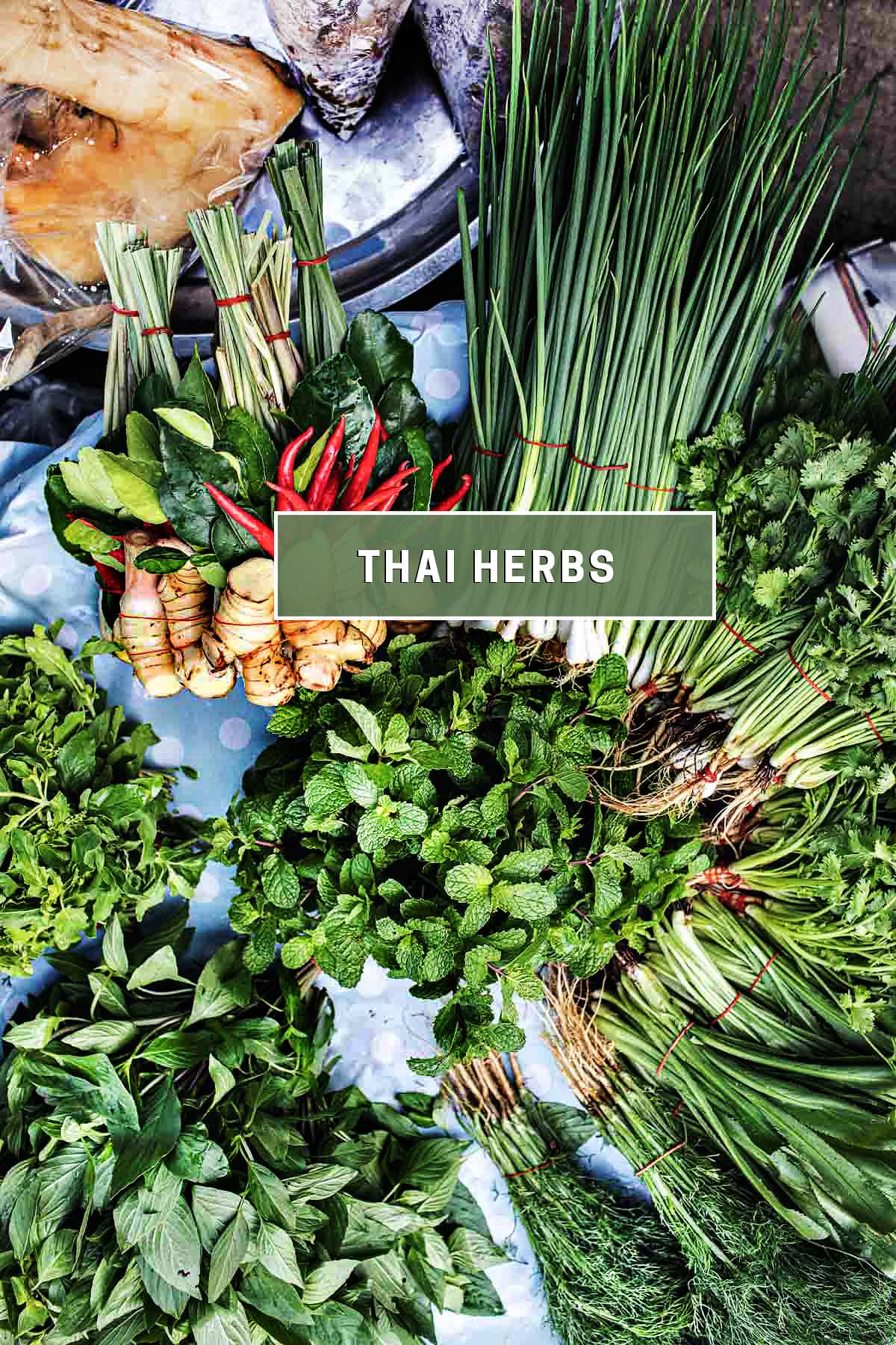 Unlocking Thai Cuisine Herb: Simple Guide for Beginners