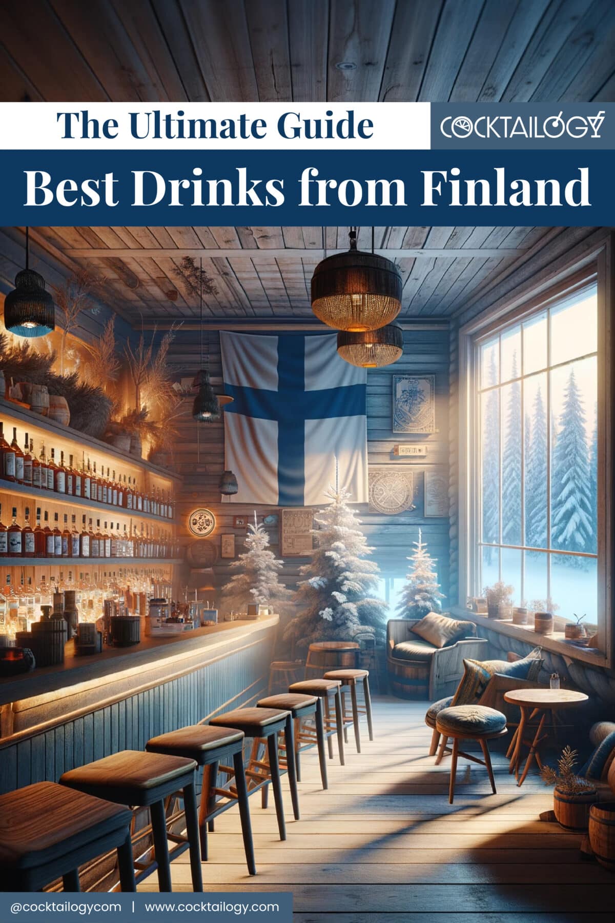 Finnish Alcoholic Beverages Guide: Explore Wines, Beers and Spirits.