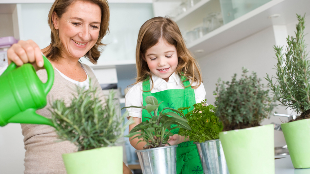 How can you start with betty crockers kitchen gardens? Easy steps for beginner home gardeners today.