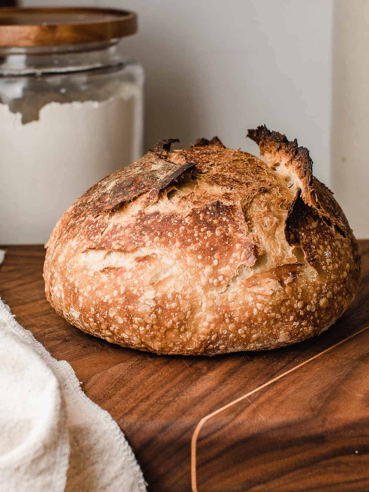 What are the simple san luis sourdough bread ingredients? Get the basic list you need to start baking today.
