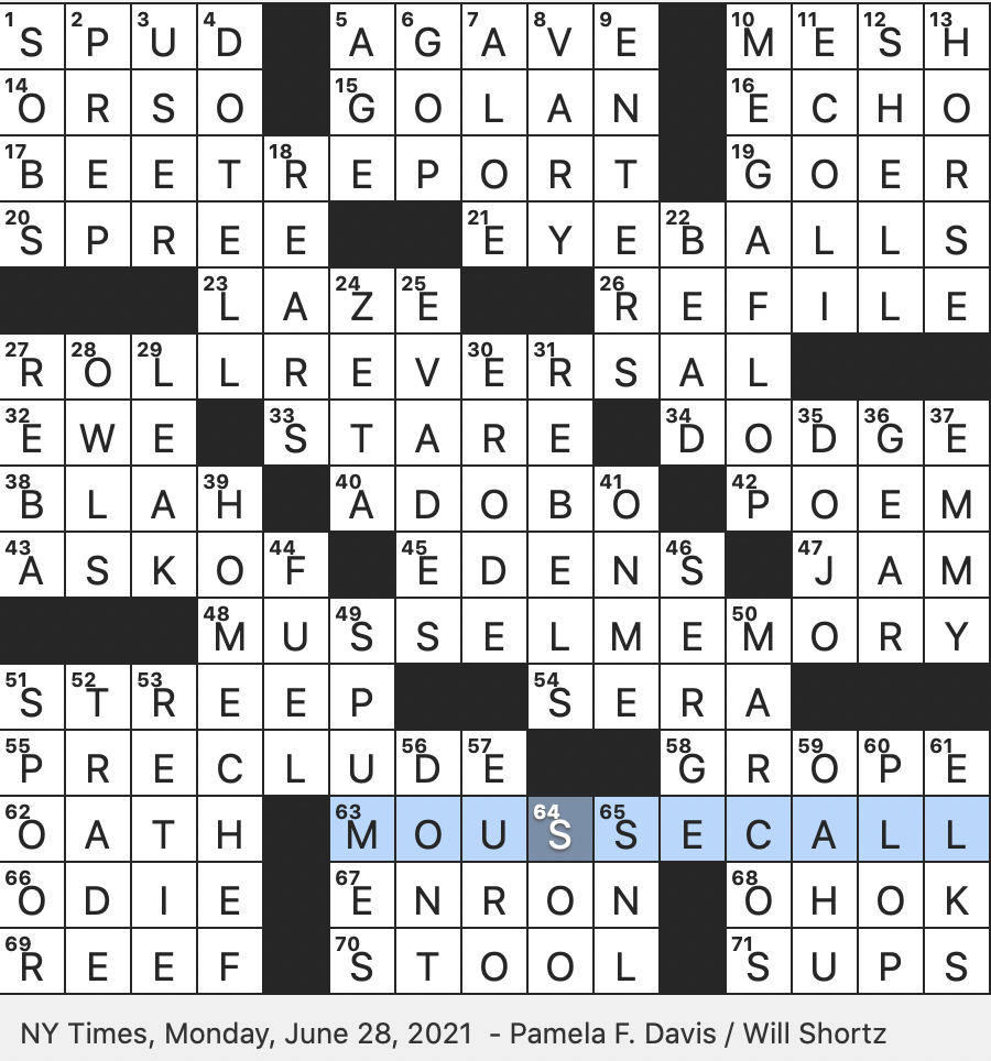 Solving sauce in philippine cuisine nyt crossword? Find the most frequent sauce names here easily.