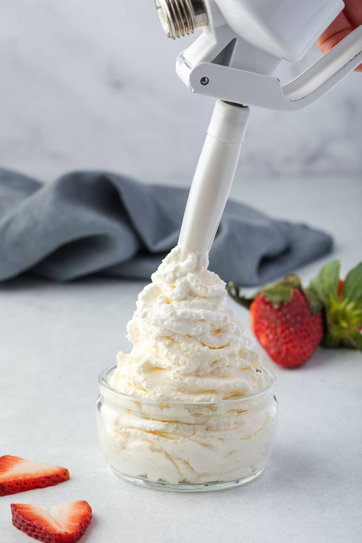 Need the best whipped cream dispenser recipes? These amazing ideas will impress everyone at parties!