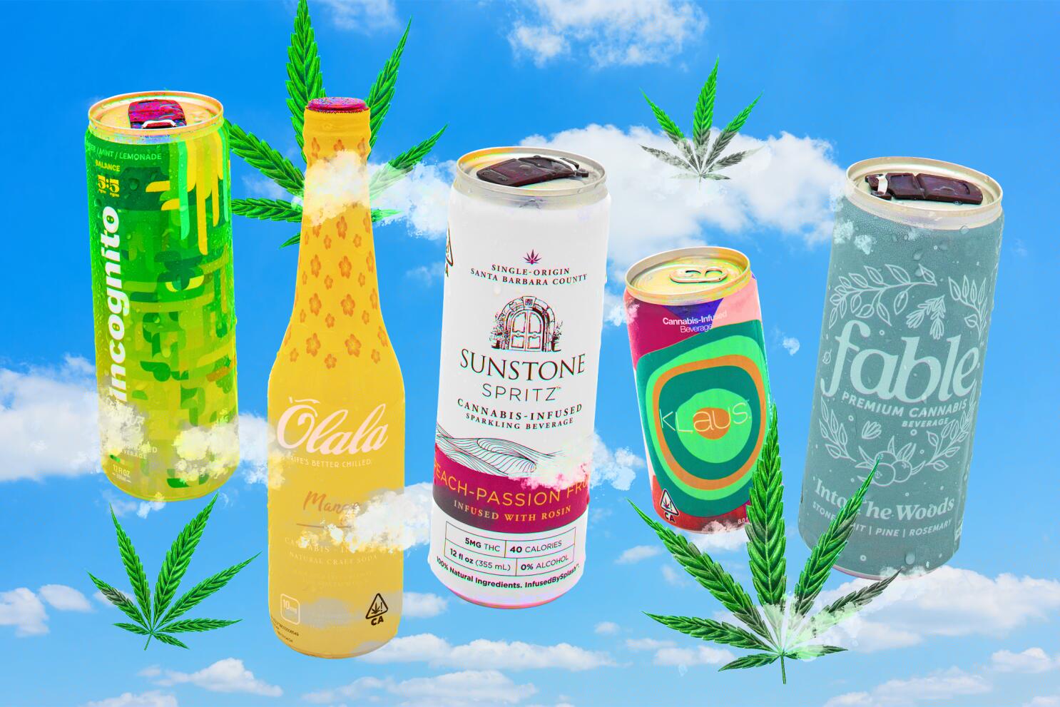 Vngr beverage reviews? Real opinions and top picks shared!